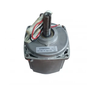 IZ.10 Электромотор (450W)