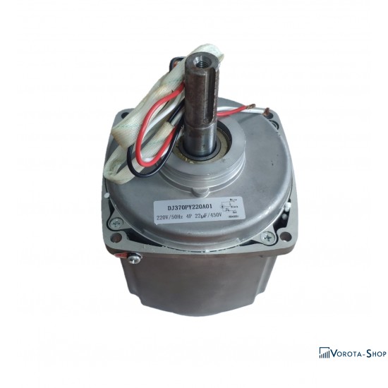 IZ.10 Електромотор (450W)