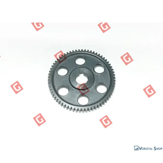 BS806.20 Шестерня