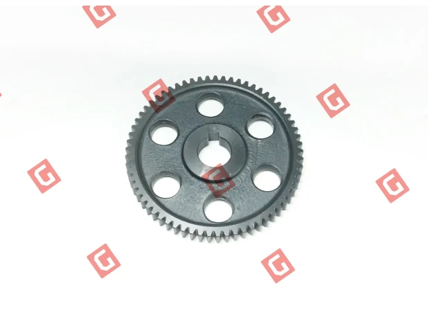 BS806.20 Шестерня