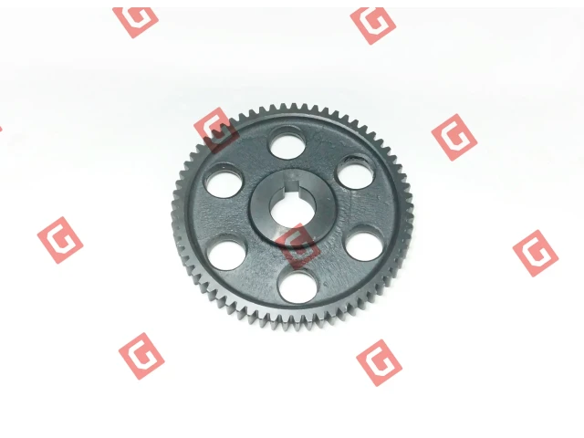 BS806.20 Шестерня