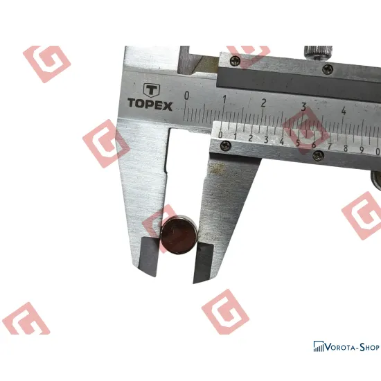 BS806.58 Магніти для шестерні