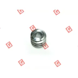 CAN.16/IZ 9 Черв’як електродвигуна