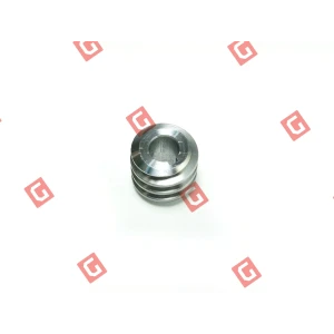 CAN.16/IZ 9 Черв’як електродвигуна
