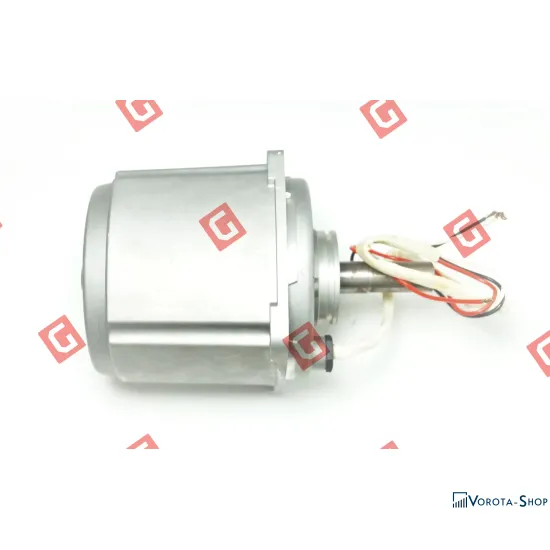 IZ.10 Електродвигун (450W)