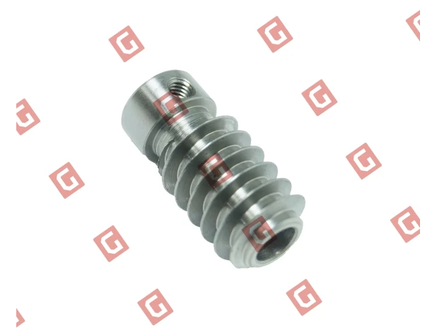 Черв’як двигуна WG10/WINGO24 (PMD1095R01.4610)