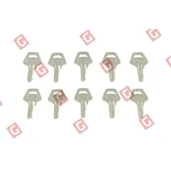 Ключі комплект NICE “1001 – 1010” (PR10CHS)