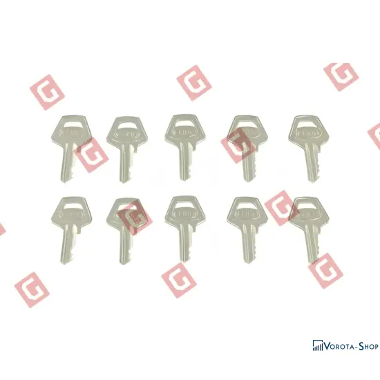 Ключі комплект NICE “1001 – 1010” (PR10CHS)