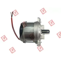 RS1043 Електродвигун MONOS4 220V (комплект)