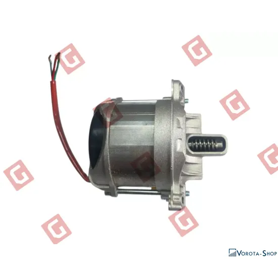 RS1043 Електродвигун MONOS4 220V (комплект)