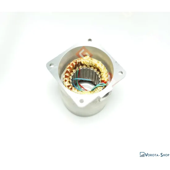 RS171 Статор + корпус статора [R23.8+5]