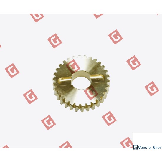 RS298 Шестерня черв’ячна R30/G30