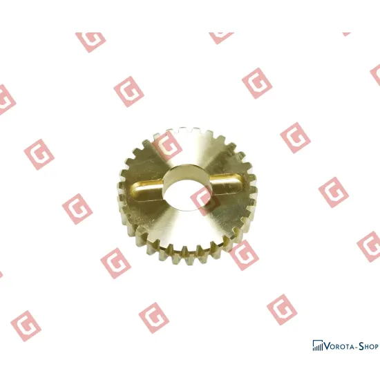 RS298 Шестерня черв’ячна R30/G30