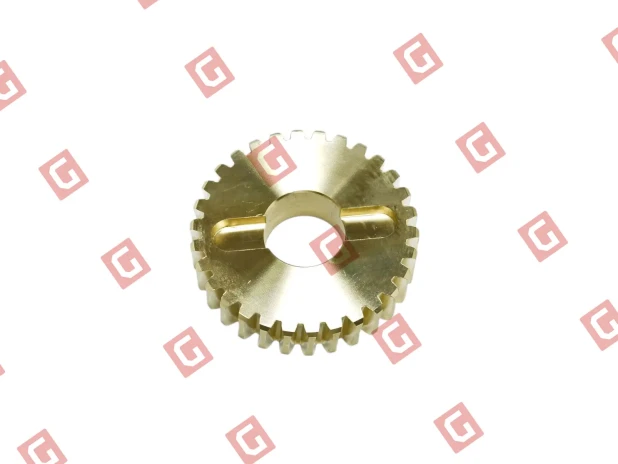 RS298 Шестерня черв’ячна R30/G30