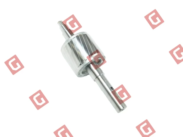 RS321 Ротор R30 [R30.4]