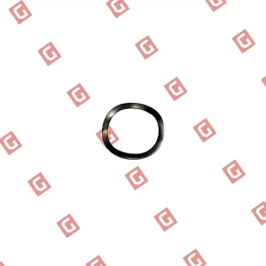 RS430 Кільце компенсаційне електродвигуна [R20/H30.6]