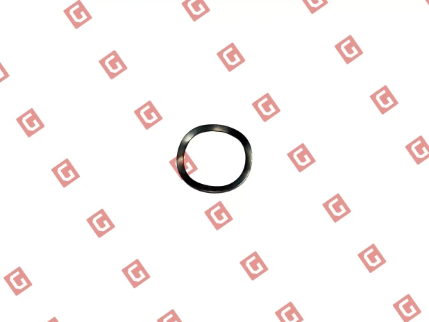 RS430 Кільце компенсаційне електродвигуна [R20/H30.6]