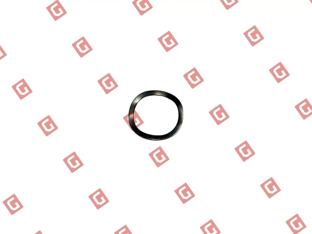 RS430 Кільце компенсаційне електродвигуна [R20/H30.6]