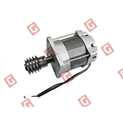 Електродвигун в зборі ROBO600 (SPAMG602D00A)