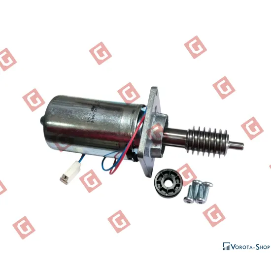 Електродвигун в зборі RBS600 (SPMTG11700)