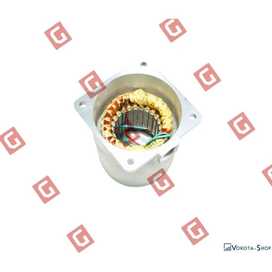 RS171 Статор + корпус статора [R23.8+5]
